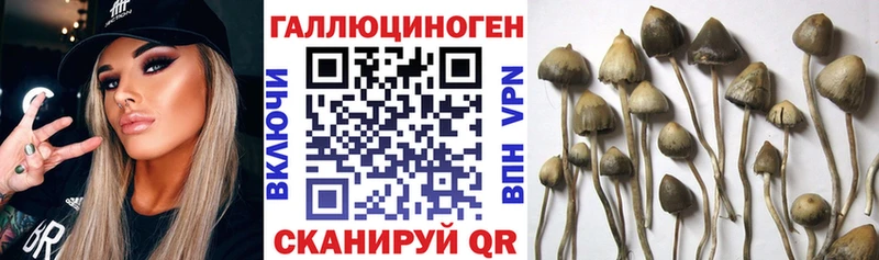 наркотики  mega ссылки  Галлюциногенные грибы Magic Shrooms  Назарово 